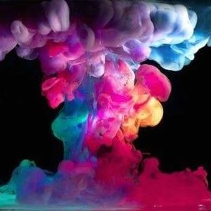 Meet your Posher, Jake